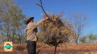 Bob Cooper survival expert at Perth 4WD & Adventure Show 2016