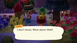 Animal Crossing New Horizons - Hazel and Lyman (Part 2)