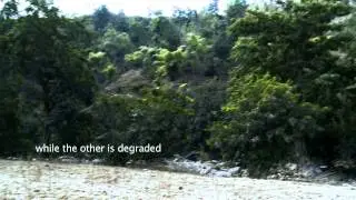 A film on Seva Mandir