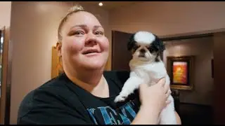 The Hamburger Helper VLOG