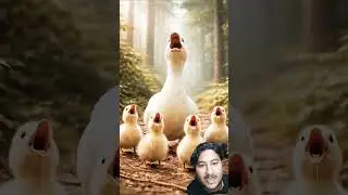 The Dog&rsquo;s Brave Rescue#shortvideo #viralvideo #recipe #duck #shayari