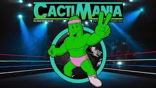 FFTCG CactiMania2 // Cymru Cactuars // FFTCG
