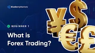 What Is Forex Trading? Forex Trading Explained In 4 Minutes