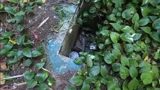 ⭕️💀ESTABA VIVO⁉️ ⚠️Esto fué lo Que Pasó…