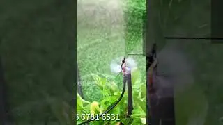Micro Sprinkler #irrigation #sprinkler #sprinklersystem #chinafactory