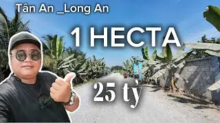 Số 134: 1 hecta đất mặt tiền xe Container chạy thuộc quy hoạch SKC ở Long An.