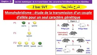 Monohybridisme la transmission d'un coupe d'allèle pour un seul caractère génétique 2 bac svt  biof