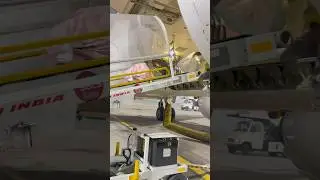 How cargoes are being loaded in aircraft #cargohold #airbus #aviation