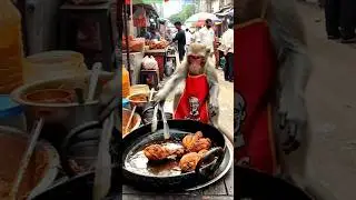 Delicious meal 😋 make by monkey #cooking #monkey #funnyanimals