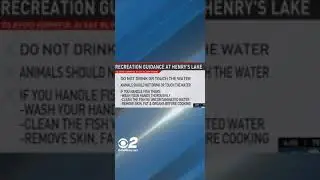 Health advisory issued for Henry's Lake due to toxin-producing bacteria