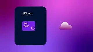 SR Linux - What makes it special
