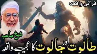 Talut Awar Jalut Ka Waqia | طالوت اور جالوت کا واقعہ | Moulana Sheikh Idrees Sahib Pushto Bayan