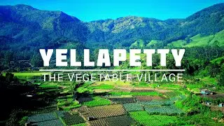YELLAPETTY - The Vegetable Village | Vattavada | Munnar #kerala #travel #idukkitourism