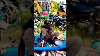 BAKER FISH CUTTING || FUNNY SEEN || #fishcutting #fishing #viral