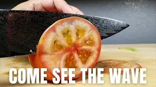 THE BEST BUDGET DAMASCUS STEEL KITCHEN KNIFE SHANZU 8