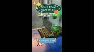 Machine &agrave; d&eacute;couper la p&acirc;te de figues