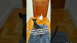 SOFIA I YULI NAO TEM MEDO