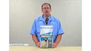 PetSolutions: Performatrin Healthy Weight Small Breed Adult Dry Dog Food