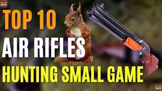 Top 10 Best Air Rifle for Hunting Small Game | Best Air Rifles 2024