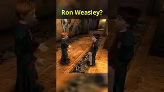 What is Ron's Problem? #harrypotter #videogames #pc #nostalgia