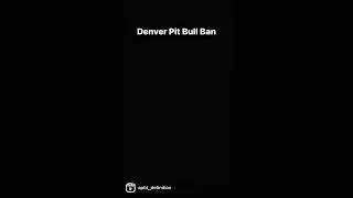 Denver Pit Bull Ban - Never Forget