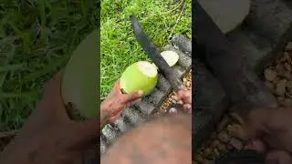 #freshcoconut#naturelovers#naturalhydration