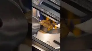 Japanese Dried Fish Jerky