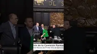 Fight breaks out between Mexican senate leaders as session ends | REUTERS