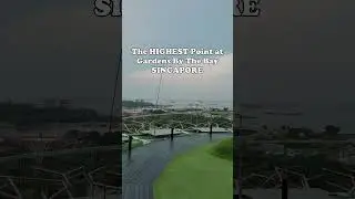 Supertree Observatory | Gardens By The Bay Singapore | Discover Singapore #Shorts