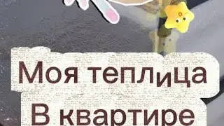 Покупки для рассады, как я буду содержать свои растения на первых этапах развития, зимний огород 