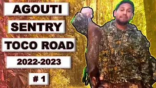 Agouti Sentry 2022-2023 Season 1 #hunting #airriflehunting #sentry