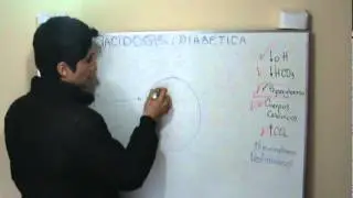 CETOACIDOSIS DIAB&Eacute;TICA PARTE 2 (Gracias por Donar)