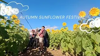 Visited the Largest Sunflower Festival in Queensland.