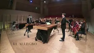 J.S. Bach - Harpsichord Concerto no. 1 in D minor BWV 1052