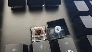 TecWare Phantom RGB Mechanical Keyboard Typing Sound (outemu brown)