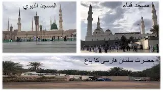 Most Awaited Madinah Vlog, Masjid Nabwi, Masjid Quba, Hazrat Sulaiman Farsi Baagh #Madinah#Ziyarah