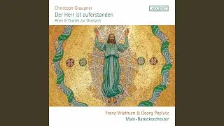 Concerto for 2 Violins in G Minor, GWV 335: IV. Vivace