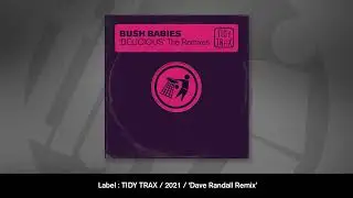 Bush Babies - Delicious (Dave Randall Remix)