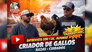 🎤🐓 EL SECRETO DE LOS GRANDES CRIADORES | LIC. ALFONSO HABLA CLARO 💥| ENTRE GALLOS & CABALLOS 🐓