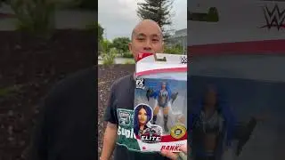 WWE Sasha Banks/Mercedes Mone figure