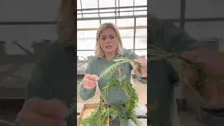 Grinch Tree Tutorial at Deb&rsquo;s