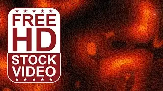 Free Stock Videos - abstract tiled orange background morphing 2D animation