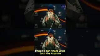 Dharam Singh Nihang Singh Ji #DSNS