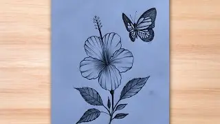 How to draw a beautiful butterfly on a flower|flower with butterfly drawing|how to draw hibiscus 