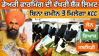 ਪਸ਼ੂਆਂ ਲਈ ਵੱਖਰੀ ਬਣੇਗੀ ਬੈਂਕ ਲਿਮਟ | KCC | Kisan Credit Card Benefits | Dairy Farming Loan Schemes |