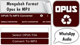 Cara Mengubah Format Opus Menjadi MP3 di WhatsApp Audio