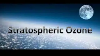 AP Environmental Science Review: Stratosphere Ozone