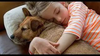 Lost Pet Network