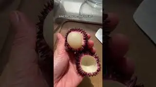 Pulasan! Like Rambutan but tastier😋 #rambutan #tropicalfruit #asiafood #malaysiafood #youtubeshorts