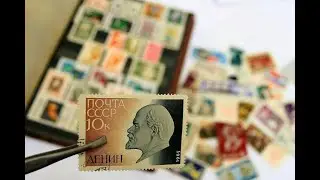 4 HELPFUL Stamp Collecting Tips for Beginners 🔥